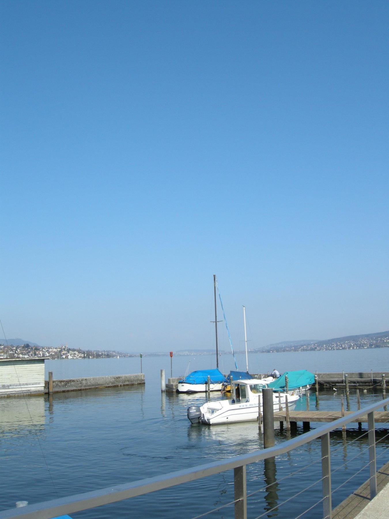 Hotel Meierhof Horgen Exterior foto